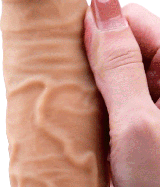 Erocome Lacerta