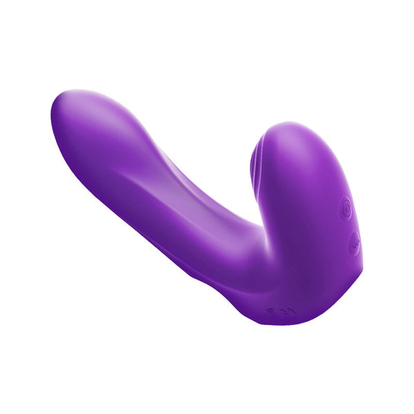 Erocome Pictor Pro