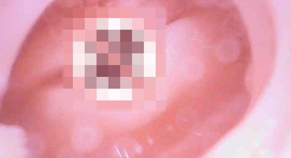 Leten Bird Vibrate Male Masturbator