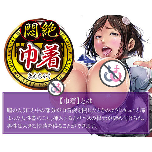 A-ONE Meiki Hyakkei (Kinchaku)