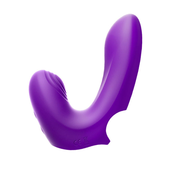 Erocome Pictor Pro
